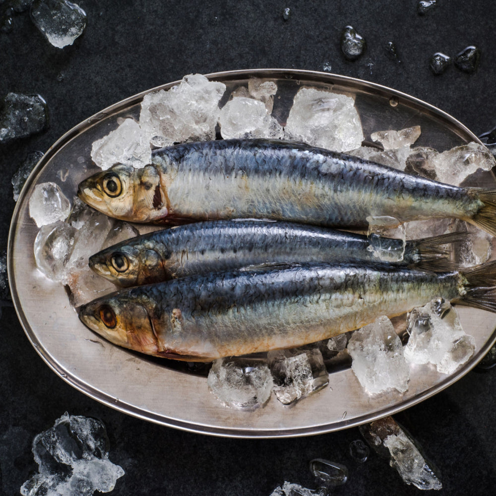 What makes Seafood Sustainable?