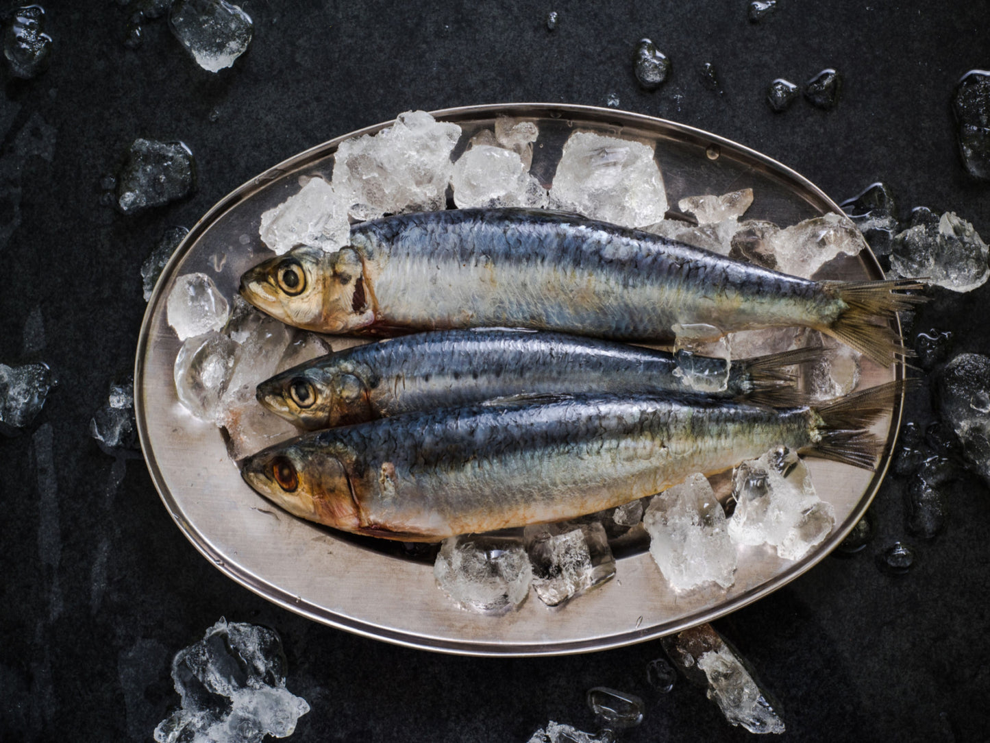 What makes Seafood Sustainable?